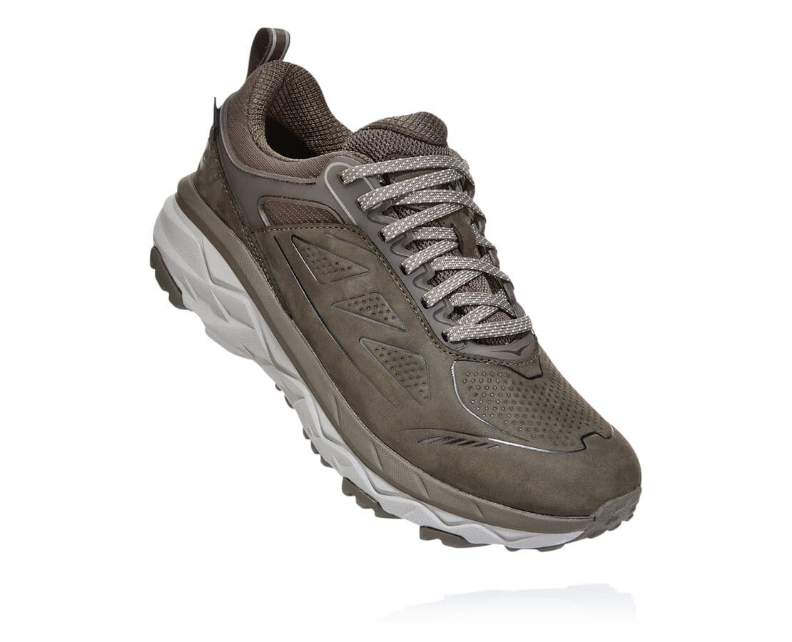 Hoka One One Challenger Low Gore-Tex Damen Breite Laufschuhe Braun | (DE-3521BMWLI)